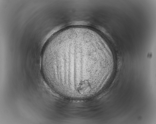 X0000113011221200909171421