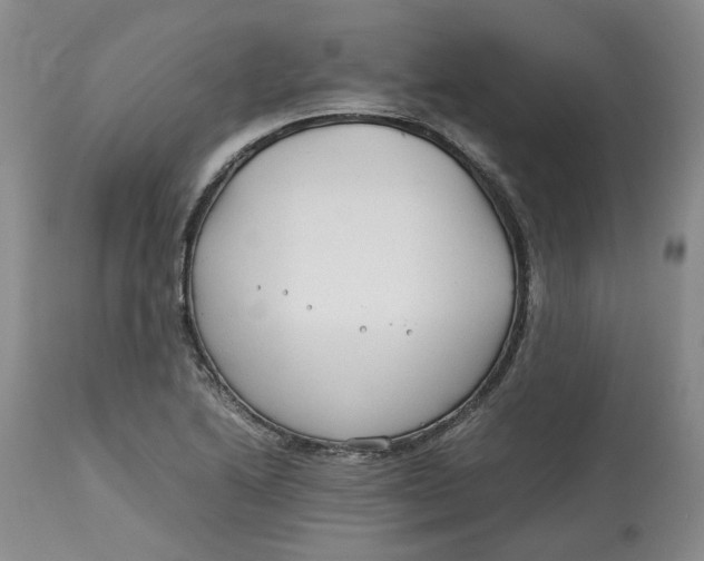 X0000113011222200909171421