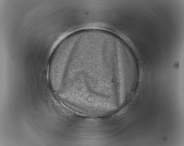 X0000113011224200909171421