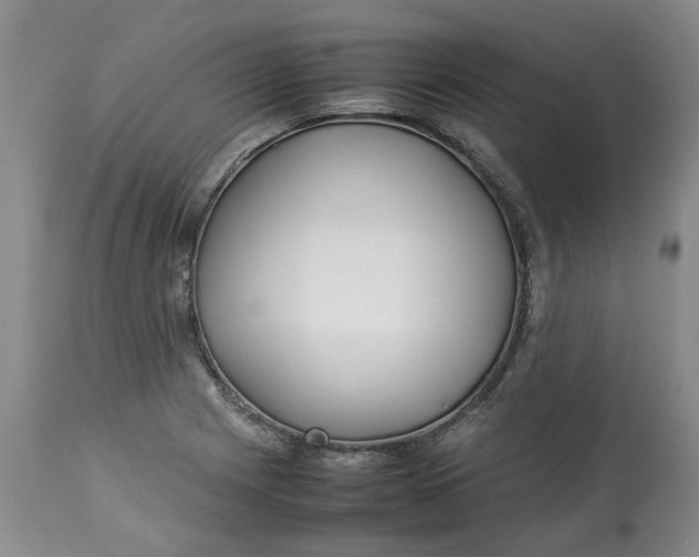 X0000113011225200909171421