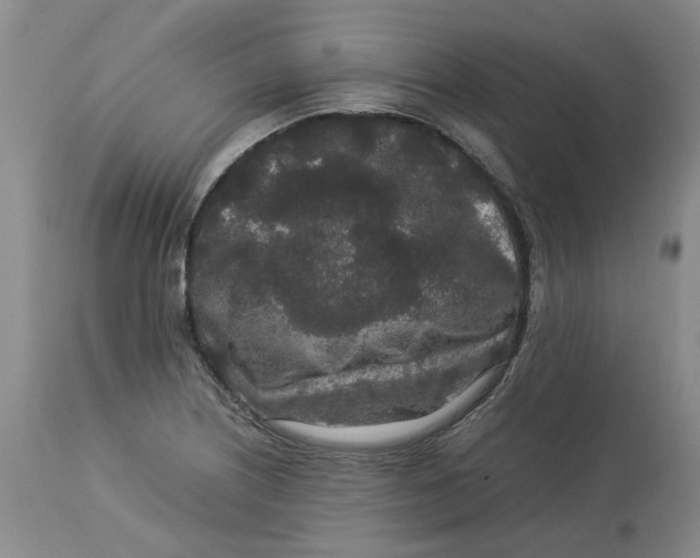 X0000113011226200909171421