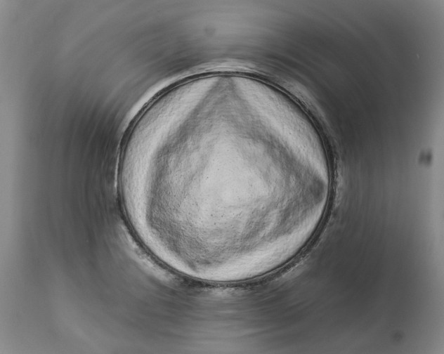 X0000113011228200909171422