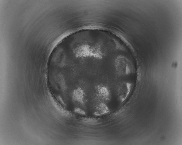 X0000113011229200909171422