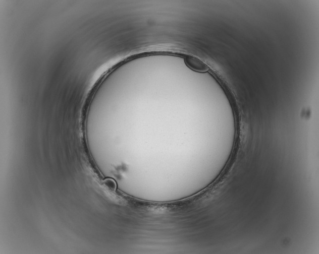 X0000113011230200909171422