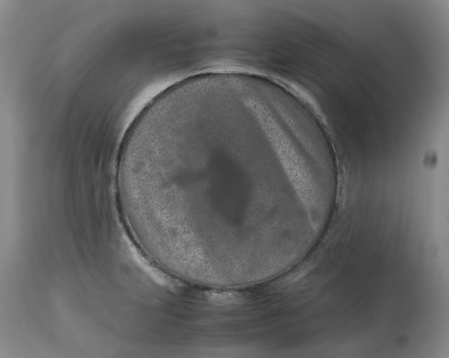 X0000113011231200909171422