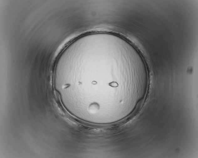 X0000113011232200909171422