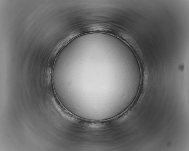 X0000113011233200909171422