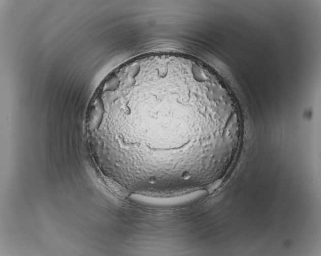 X0000113011234200909171422