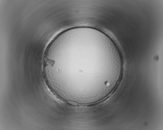 X0000113011236200909171422