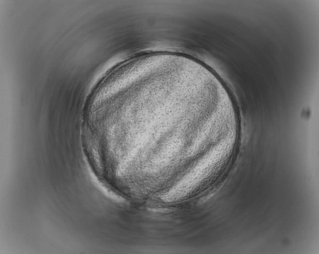 X0000113011237200909171422