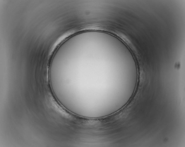 X0000113011238200909171422