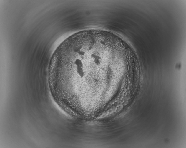 X0000113011239200909171422