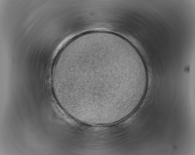 X0000113011240200909171422