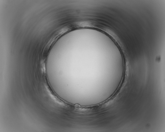 X0000113011241200909171422