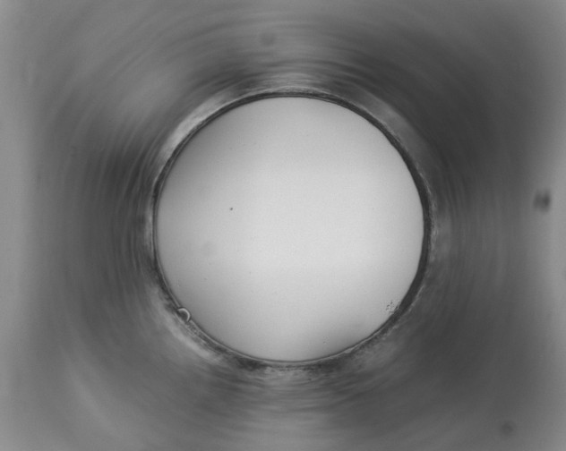 X0000113011242200909171422