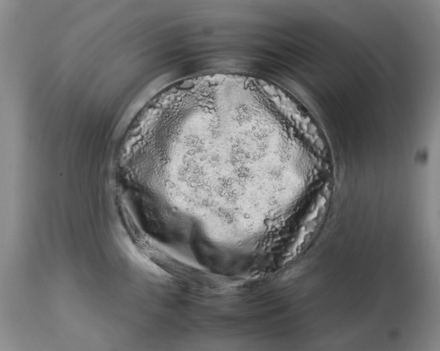 X0000113011243200909171422