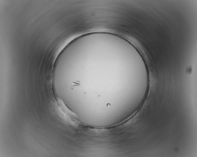 X0000113011244200909171422