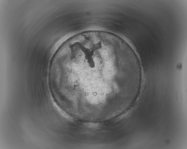 X0000113011245200909171422