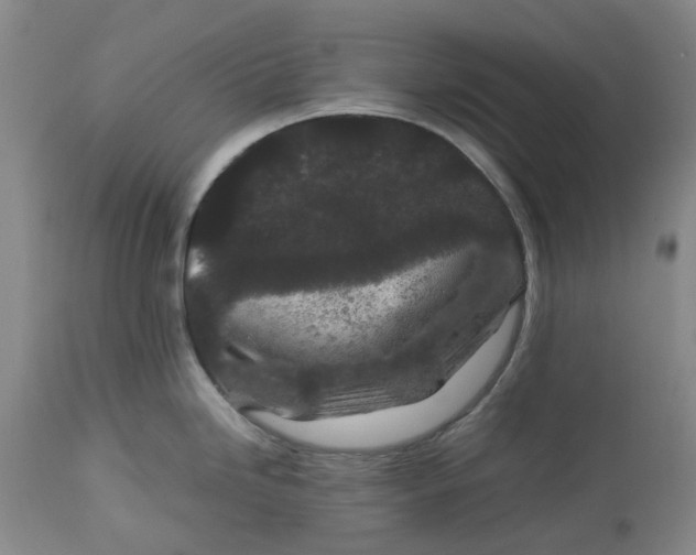 X0000113011246200909171422