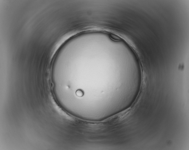 X0000113011247200909171422