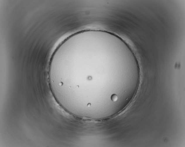 X0000113011248200909171422