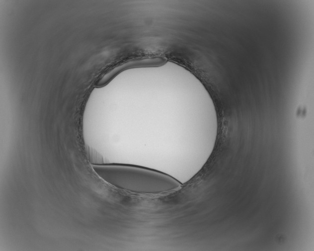 X0000113011249200909171421