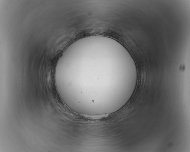 X0000113011250200909171421