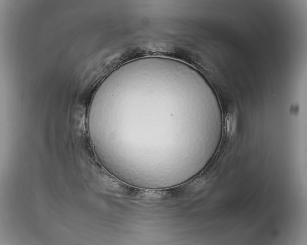 X0000113011251200909171421