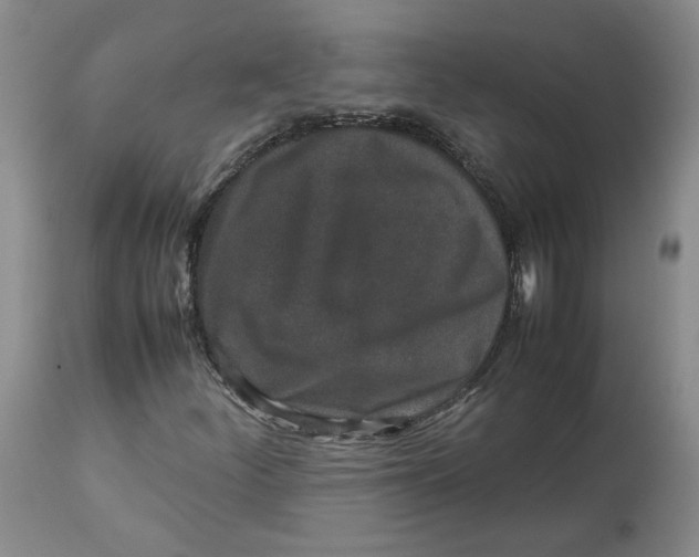 X0000113011252200909171421