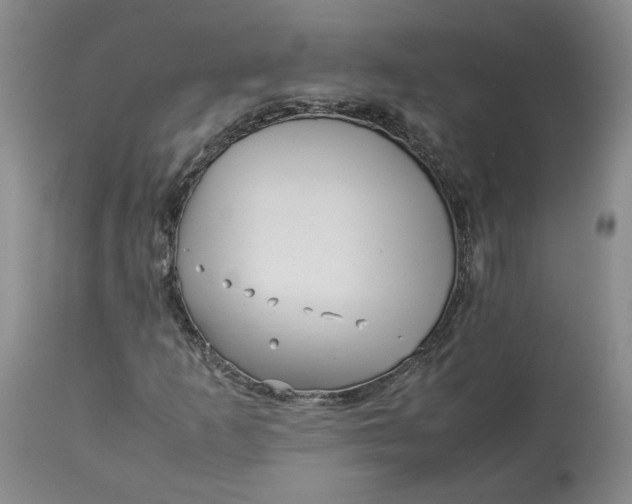 X0000113011253200909171421