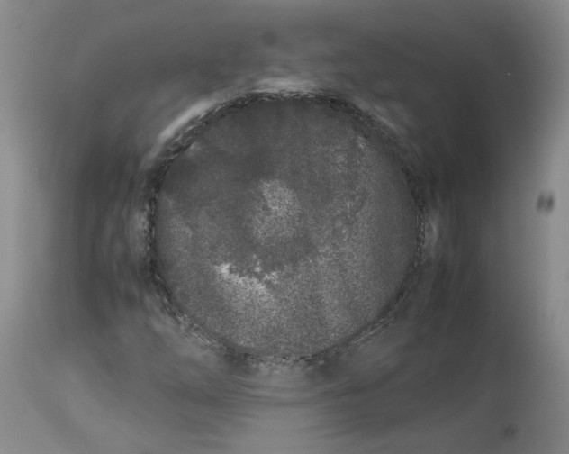 X0000113011254200909171421