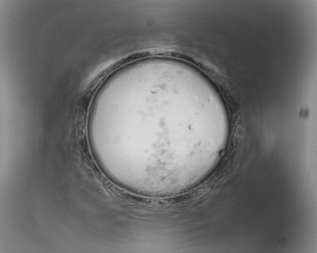 X0000113011255200909171421