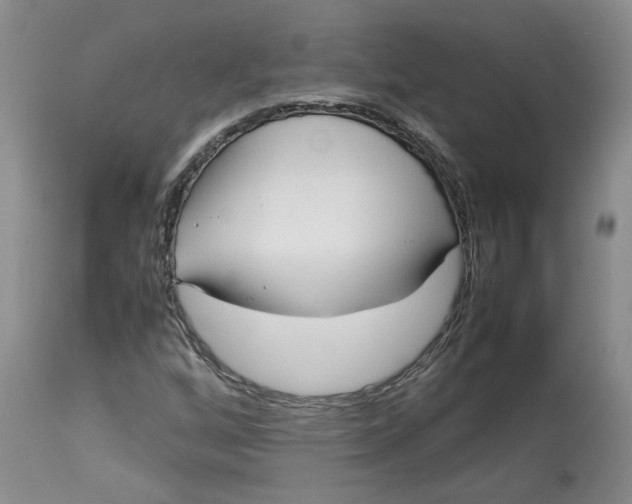 X0000113011256200909171421