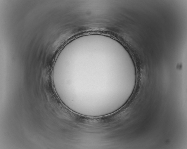 X0000113011257200909171421