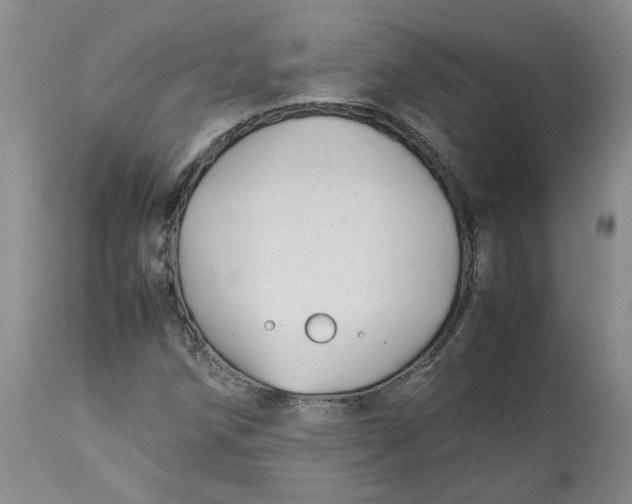 X0000113011258200909171421