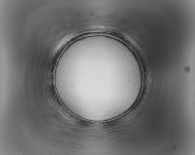 X0000113011259200909171421