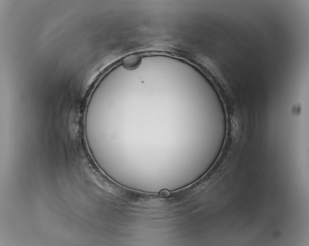 X0000113011260200909171421