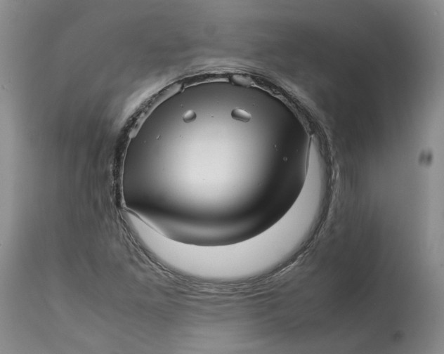 X0000113011261200909171421