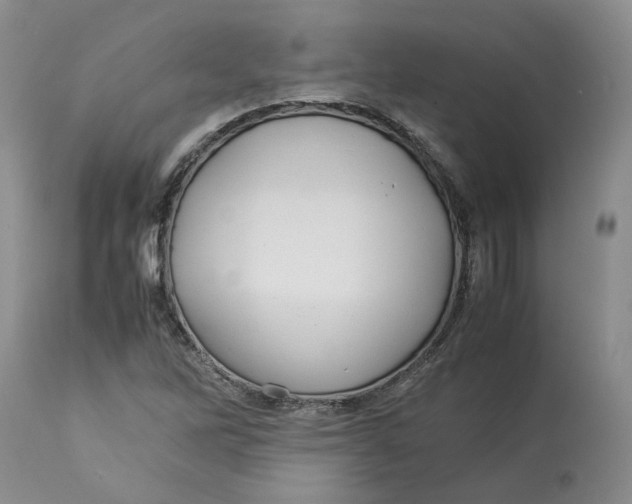 X0000113011262200909171421