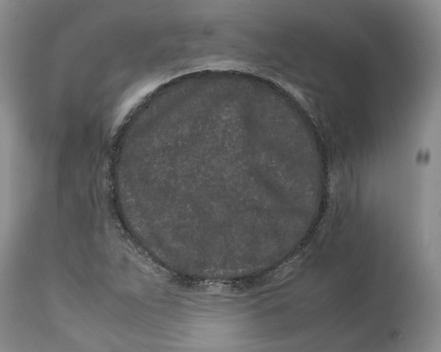 X0000113011263200909171421