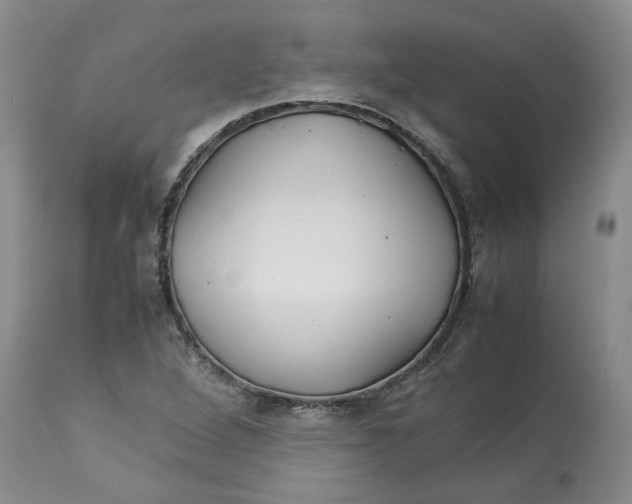 X0000113011264200909171421