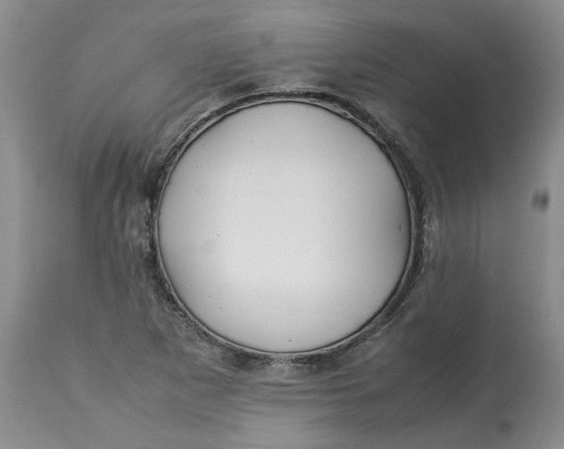 X0000113011265200909171421