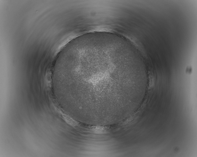 X0000113011266200909171421