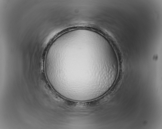 X0000113011267200909171421