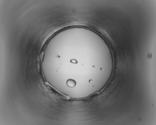 X0000113011268200909171421