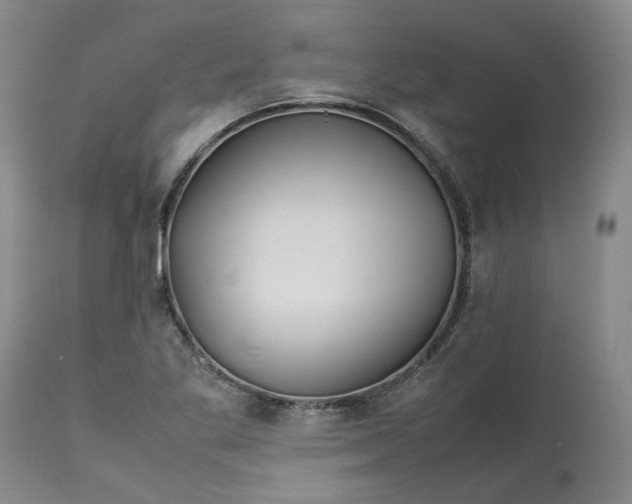 X0000113011269200909171421