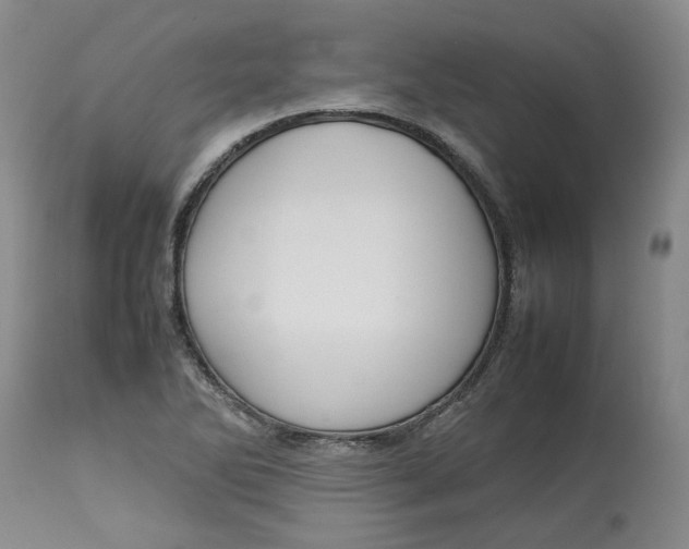 X0000113011270200909171421