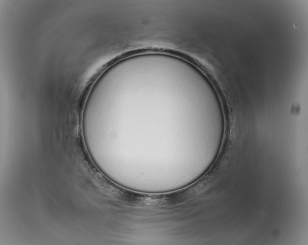 X0000113011271200909171421