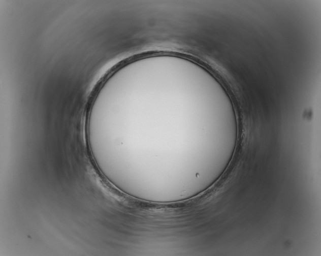 X0000113011272200909171421