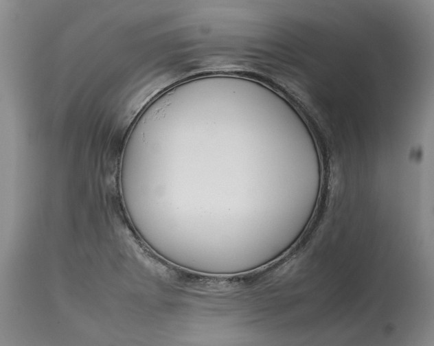 X0000113011273200909171421